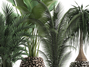 houseplants in a pot for the interior 730 3D Модель