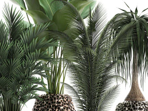 houseplants in a pot for the interior 730 3D Model