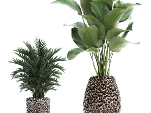 houseplants in a pot for the interior 730 3D Model