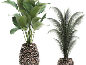 houseplants in a pot for the interior 730 3D Модель
