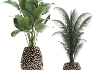 houseplants in a pot for the interior 730 3D Model