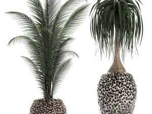 houseplants in a pot for the interior 730 3D Модель