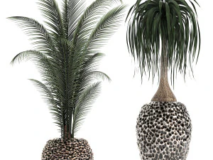 houseplants in a pot for the interior 730 3D Model