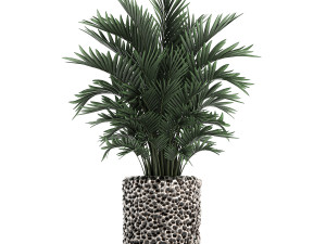 houseplants in a pot for the interior 730 3D Модель
