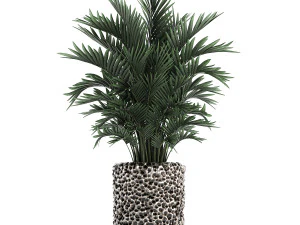 houseplants in a pot for the interior 730 3D Model