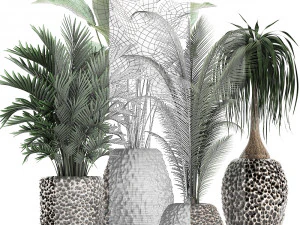 houseplants in a pot for the interior 730 3D Model