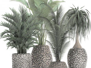 houseplants in a pot for the interior 730 3D Model