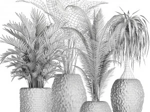 houseplants in a pot for the interior 730 3D Model