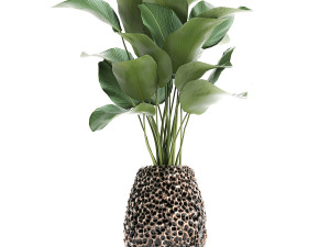 houseplants in a pot for the interior 730 3D Модель