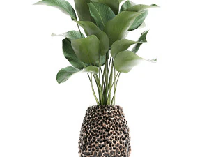 houseplants in a pot for the interior 730 3D Model