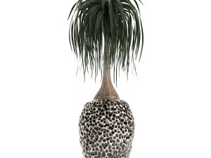 houseplants in a pot for the interior 730 3D Модель