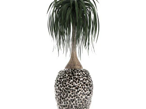 houseplants in a pot for the interior 730 3D Model