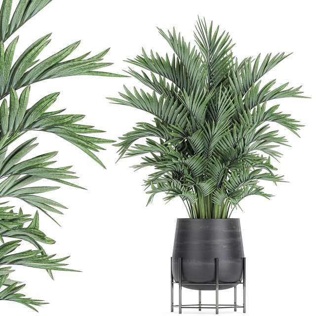decorative palm in a flowerpot 731 3D Model .c4d .max .obj .3ds .fbx .stl .blend 