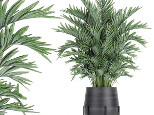 palma decorativa in vaso da fiori 731 Modello 3D