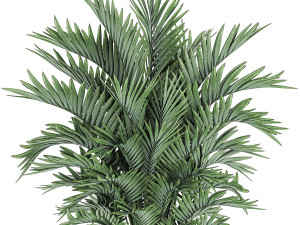 decorative palm in a flowerpot 731 3D Model