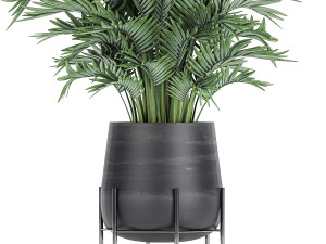 decorative palm in a flowerpot 731 3D Model