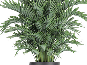 decorative palm in a flowerpot 731 3D Model