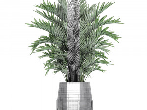 decorative palm in a flowerpot 731 3D Model