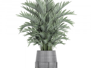 decorative palm in a flowerpot 731 3D Model