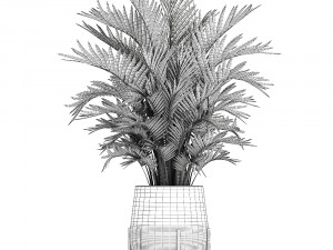 decorative palm in a flowerpot 731 3D Model