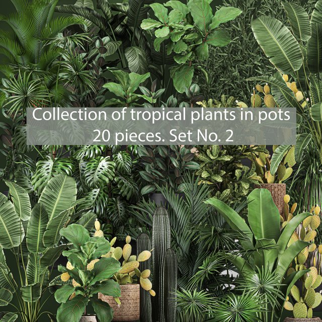 collection of potted plants for the interior of 20 pieces set no 2 3D Model .c4d .max .obj .3ds .fbx .stl .blend 