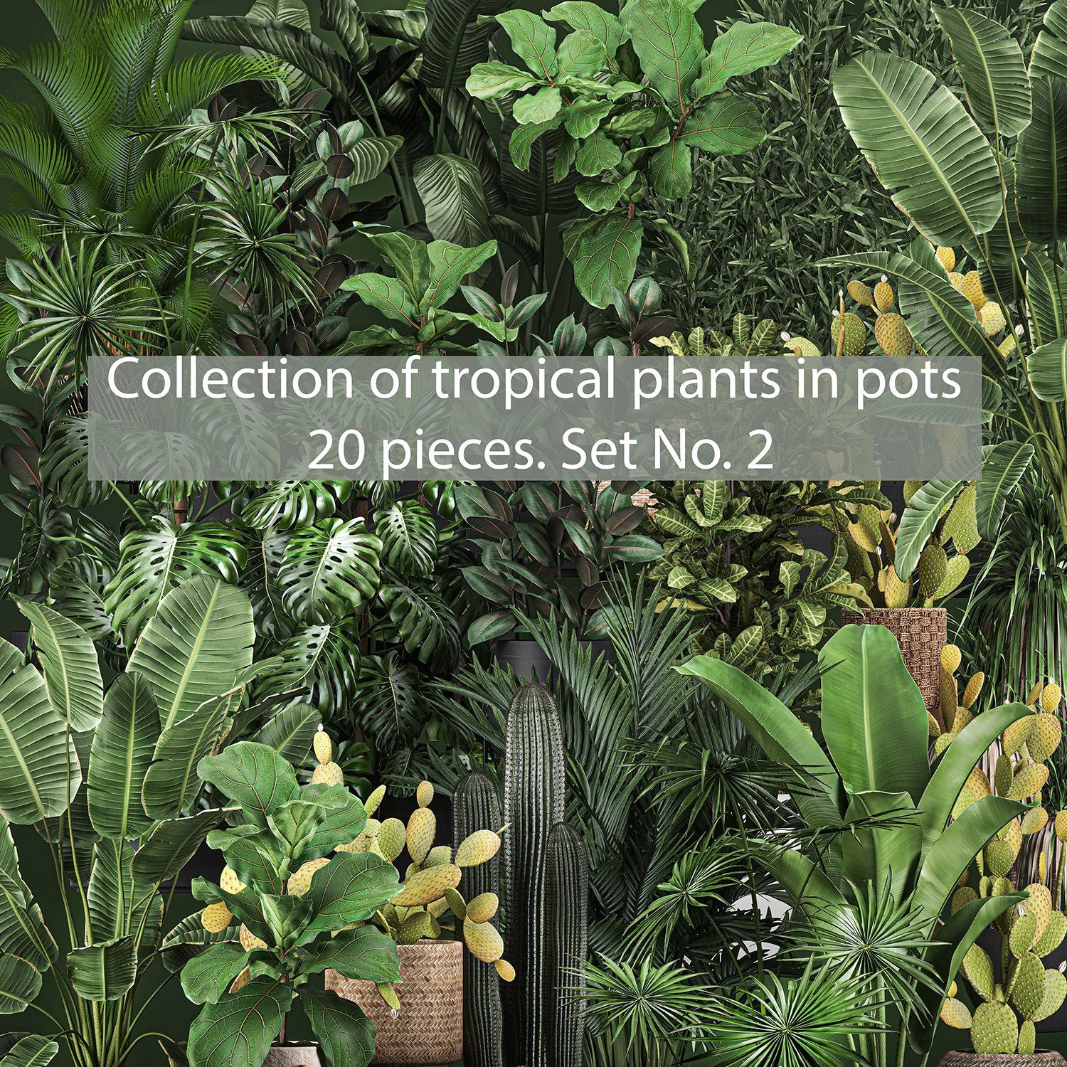 collection of potted plants for the interior of 20 pieces set no 2 3D Model .c4d .max .obj .3ds .fbx .stl .blend 