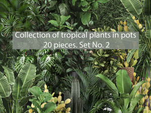 collection of potted plants for the interior of 20 pieces set no 2 3Dモデル