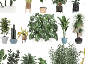 collection of potted plants for the interior of 20 pieces set no 2 3D Model