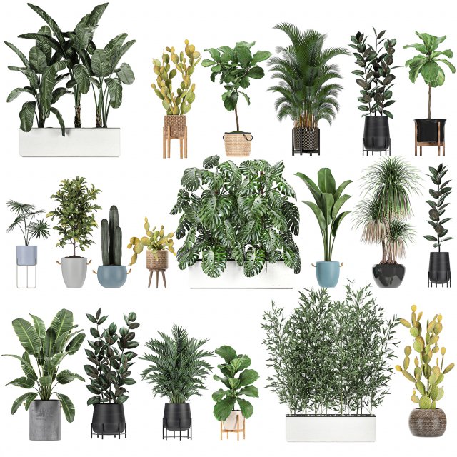 collection of plants of 20 pieces set 3D 模型 .c4d .max .obj .3ds .fbx .stl .blend 