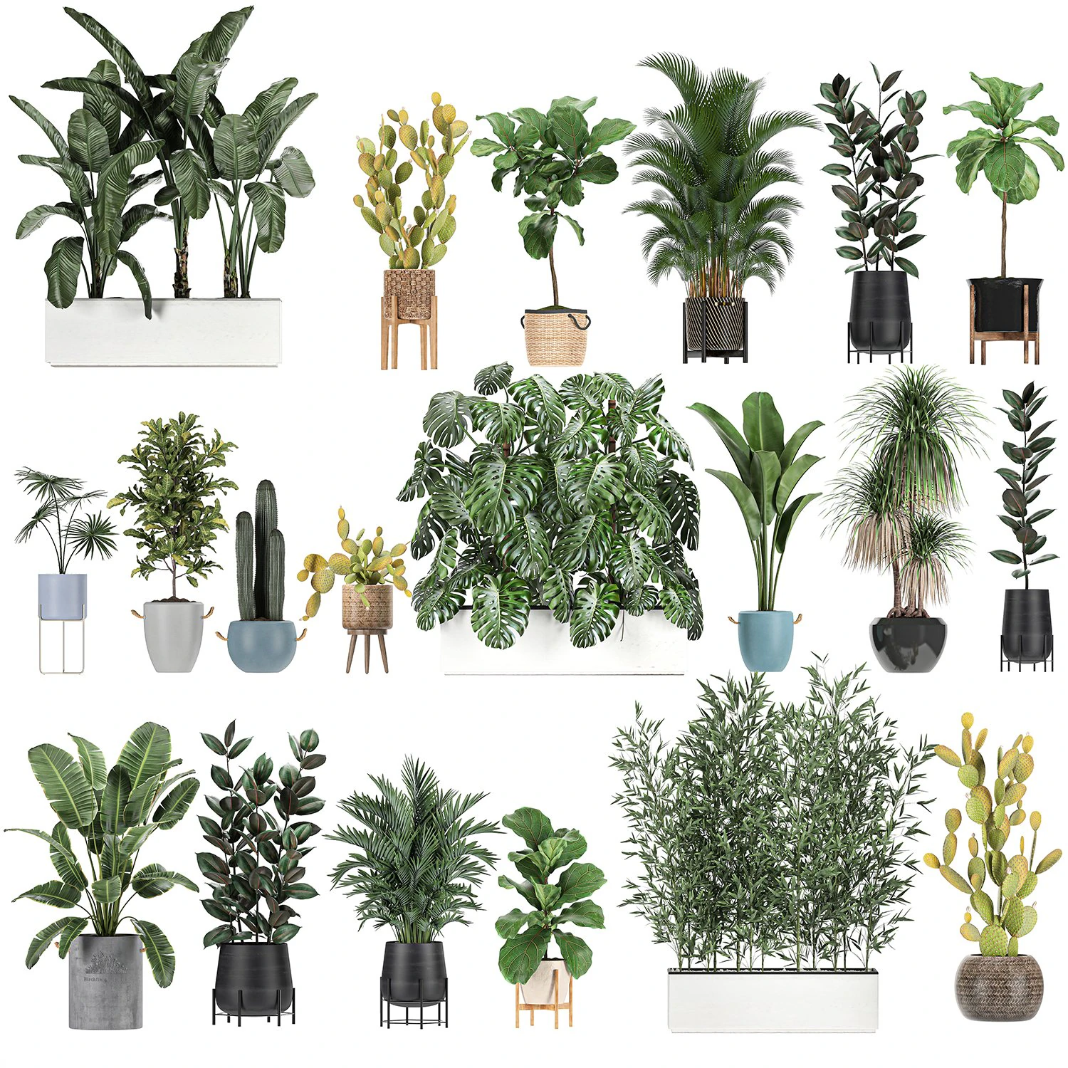 collection of plants of 20 pieces set 3D Model .c4d .max .obj .3ds .fbx .stl .blend 