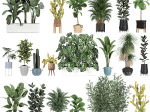 collection of plants of 20 pieces set Modelo 3D