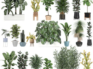 cole&ccedil;&atilde;o de plantas de conjunto de 20 pe&ccedil;as Modelo 3D