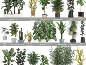 collection of plants of 20 pieces set 3D 模型