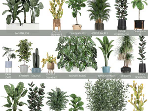 collection of plants of 20 pieces set 3D Model