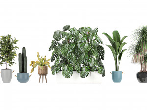 collection of plants of 20 pieces set 3D 模型