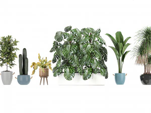 collection of plants of 20 pieces set 3D Model