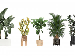 collection of plants of 20 pieces set 3D Model