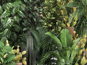 collection of plants of 20 pieces set 3D Model