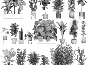 collection of plants of 20 pieces set 3D 模型
