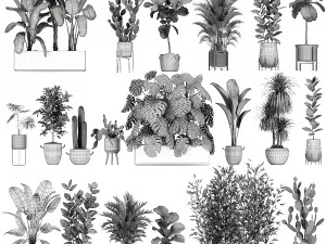 collection of plants of 20 pieces set 3D Model