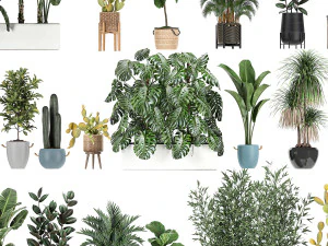 collection of plants of 20 pieces set 3D Model
