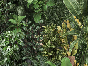 collection of plants of 20 pieces set 3D Model