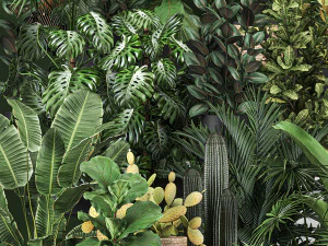 collection of plants of 20 pieces set 3D Model