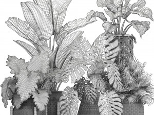 decorative olive tree in a black flowerpots 735 3D 模型