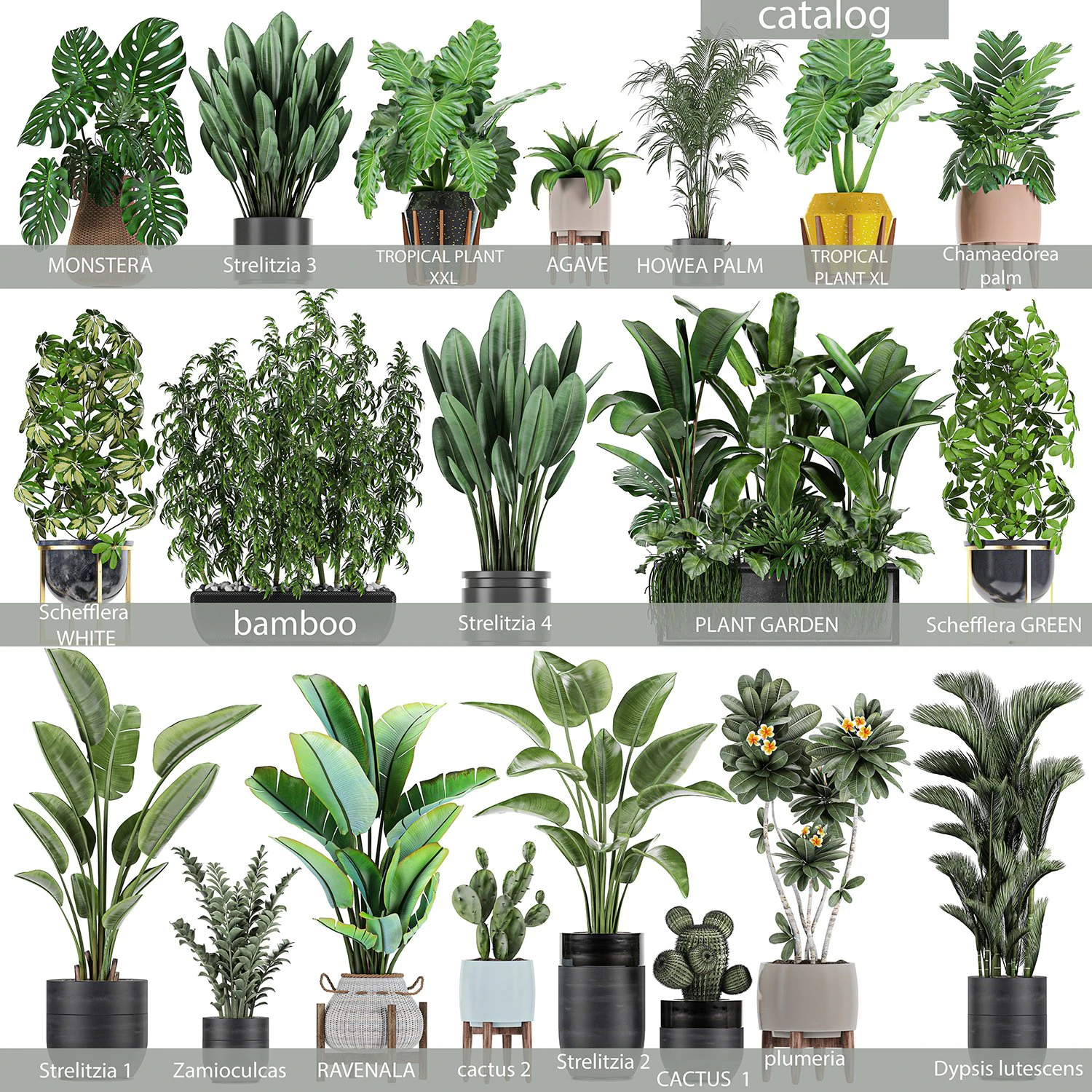 collection of plants of 20 pieces set 3 3D Model .c4d .max .obj .3ds .fbx .stl .blend 