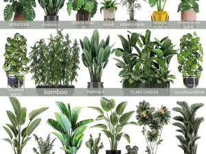 collection of plants of 20 pieces set 3 3D Model