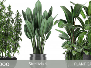 collection of plants of 20 pieces set 3 Modello 3D