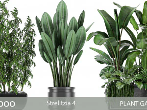 collection of plants of 20 pieces set 3 3D Model
