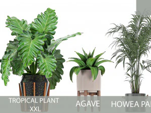 collection of plants of 20 pieces set 3 3D Model