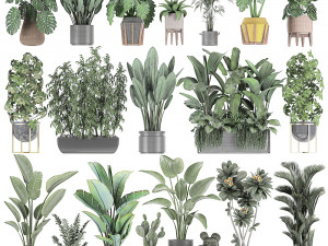 collection of plants of 20 pieces set 3 Modello 3D